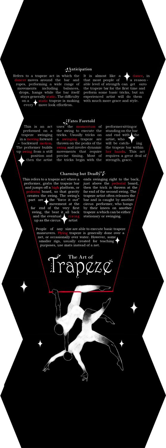 Brochure Back