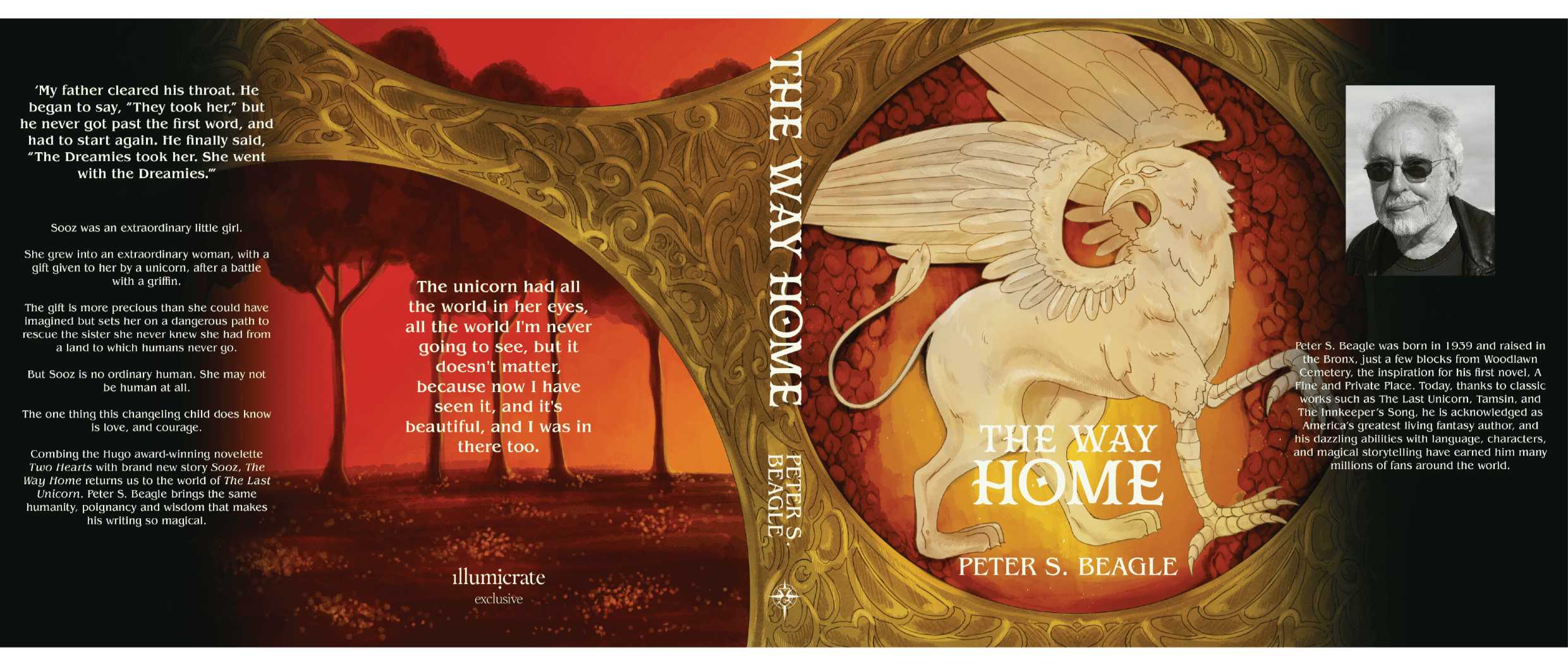 The Way Home